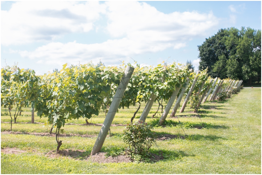 Crossing Vineyards Photography - Bucks County Vineyard Wedding Photographer