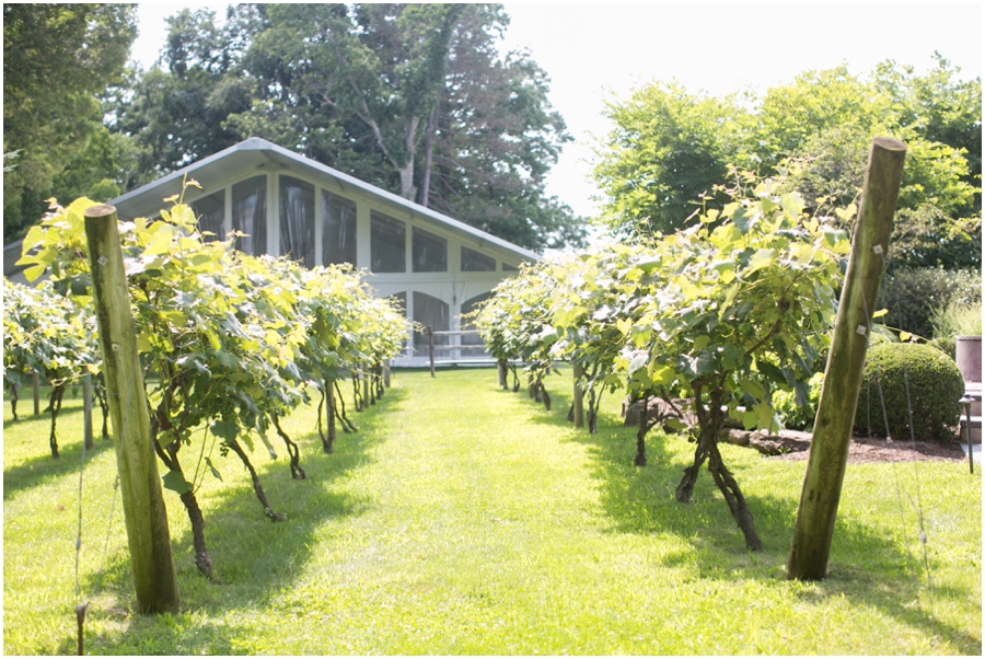 Crossing Vineyards Photography - Bucks County Vineyard Wedding Photographer