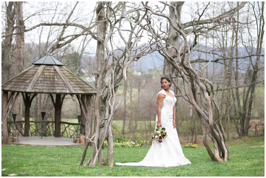 The Marriage Vine - Asheville Destination Wedding Photographer - Stargazer's Floral Designs - The Farm