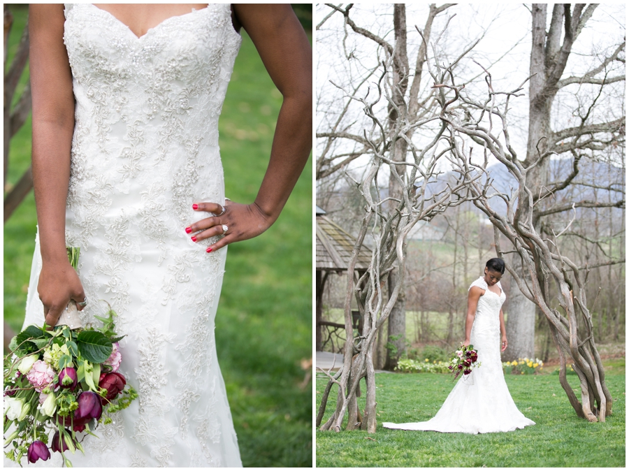 The Marriage Vine - Asheville Destination Wedding Photographer - Stargazer's Floral Designs - The Farm