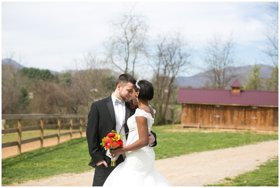 The Marriage Vine - Asheville Destination Wedding Photographer - Stargazer's Floral Designs - The Farm