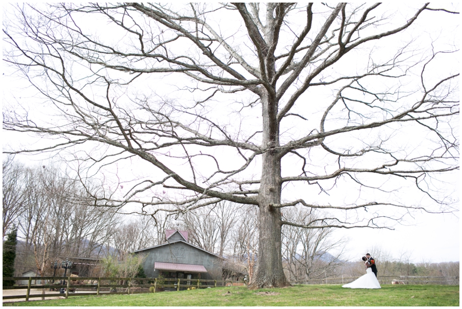 CarlyFullerPhotography_Asheville-Destination-Wedding_0050