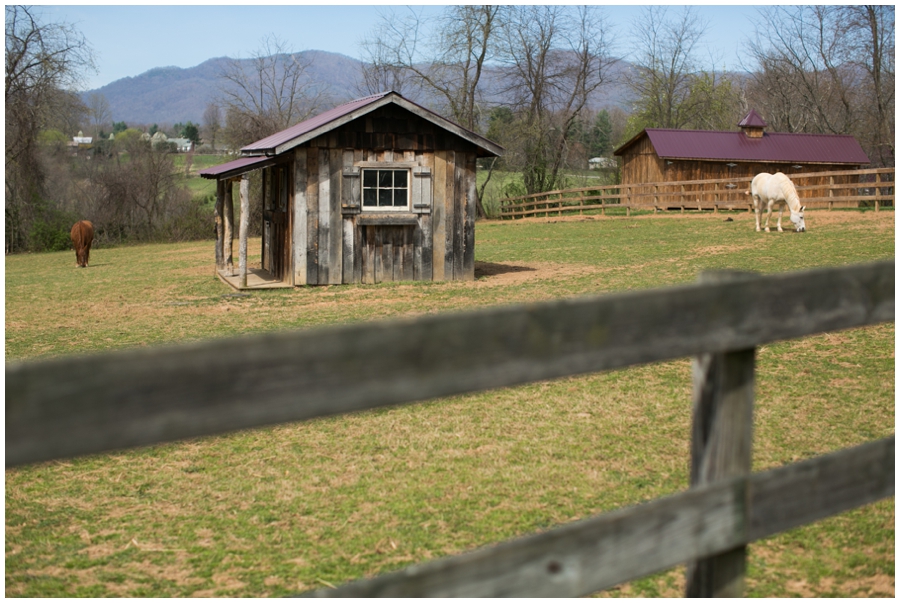 Asheville NC Wedding Inspiration - The Marriage Vine - Stargazer's Floral Designs - The Farm