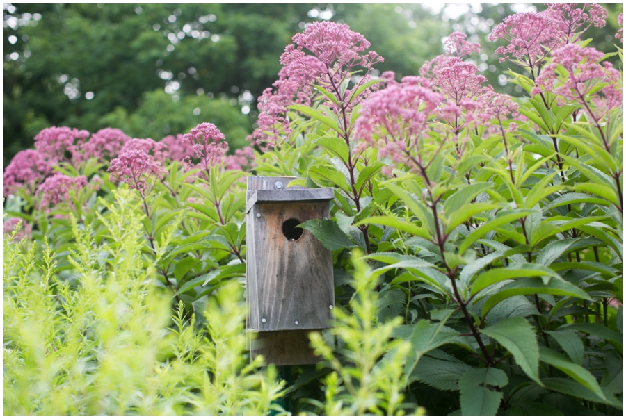 John James Audubon Center at Mill Grove - Philadelphia Rustic Wedding Venue - Philadelphia Wedding Photographers