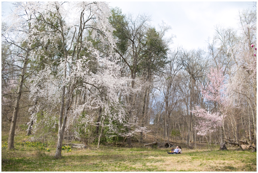 Rock Creek Park Engaged Couple - Elizabeth Bailey Weddings