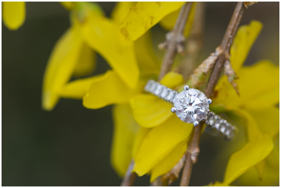 Dumbarton House Engagement Photographer - Elizabeth Bailey Weddings