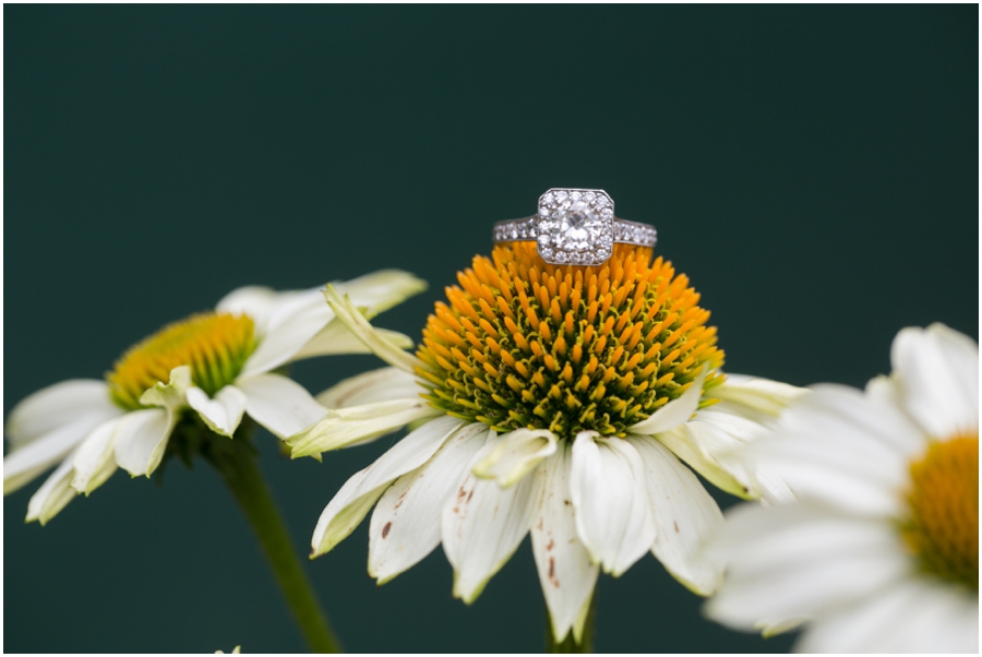 Destination NJ Engagement Photographer - Chester Engagement Photo session