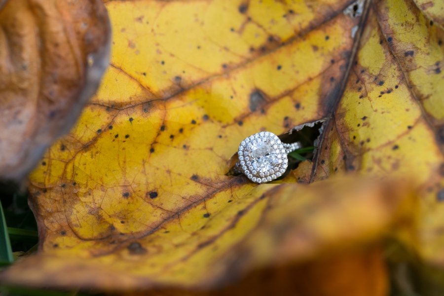 Centennial Lake Engagement Photographer