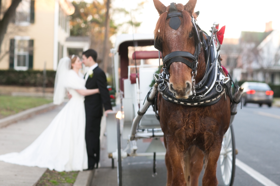 Eastern Shore Winter Wedding Photographer - Horse & Carriage Wedding