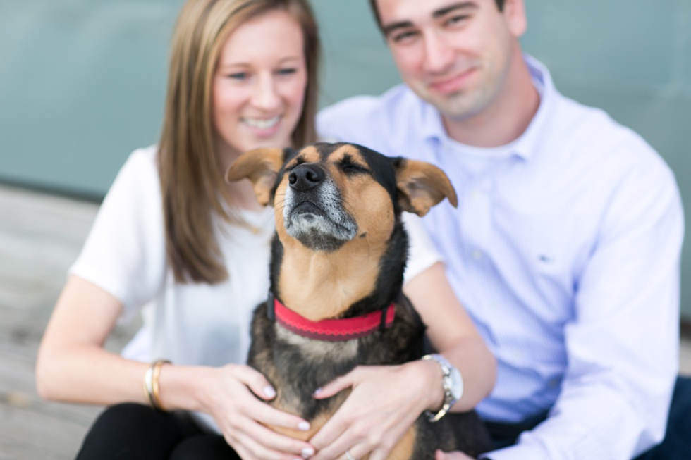 Inn at Henderson's Wharf - Fells Point Lifestyle Dog Engagement Session