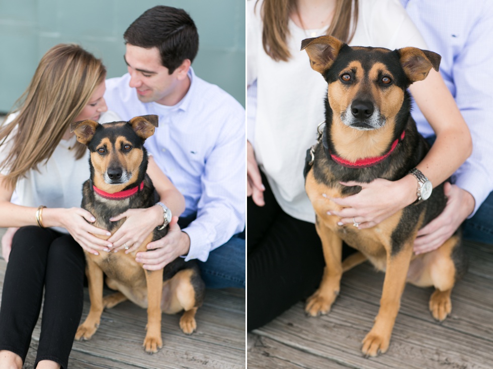 Inn at Henderson's Wharf - Fells Point Lifestyle Dog Engagement Session