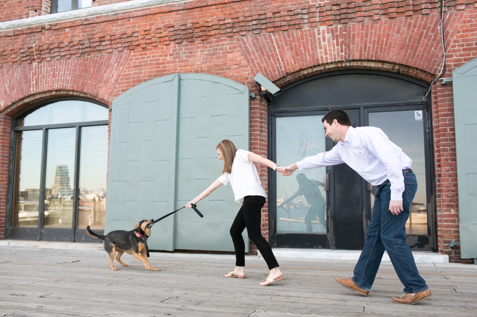 Inn at Henderson's Wharf - Fells Point Lifestyle Dog Engagement Session