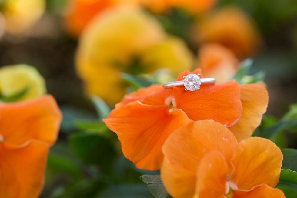 Engagement Session at Camden Yards 