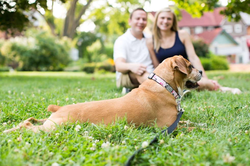 Beabull Dog - Philadelphia Engagement Photographer