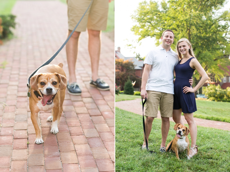 Beabull Dog - Philadelphia Engagement Photographer