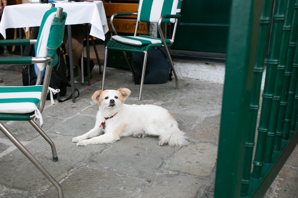 Portofino - Italian Riviera Photographer