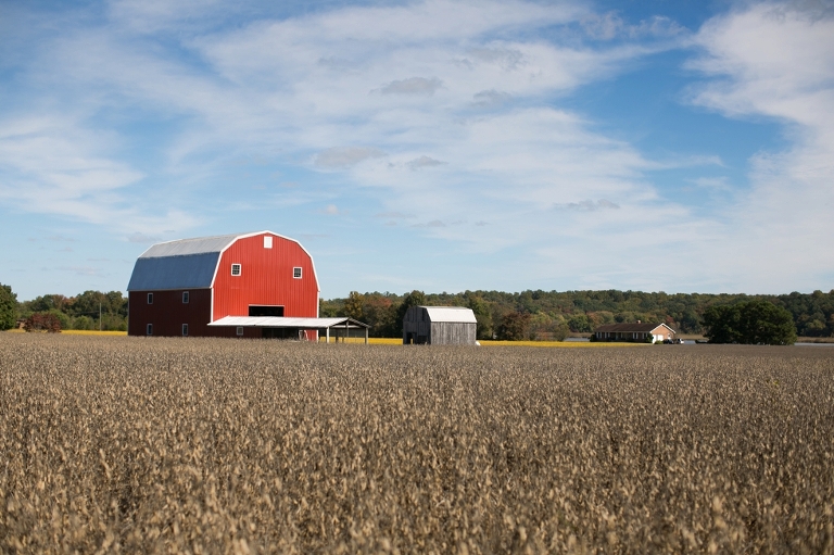 Jennifer Randy Md Family Farm Wedding Photographer Carly