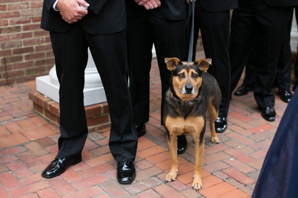 Tidewater Inn Wedding - Ceremony with Dogs