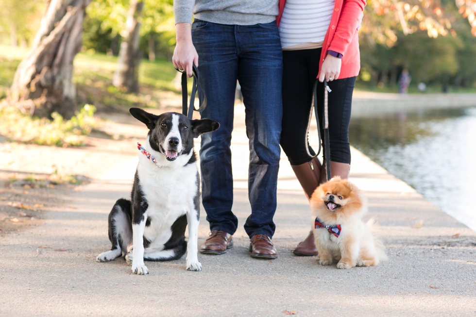 Puppy Engagement - Engagement Photographers in Philadelphia