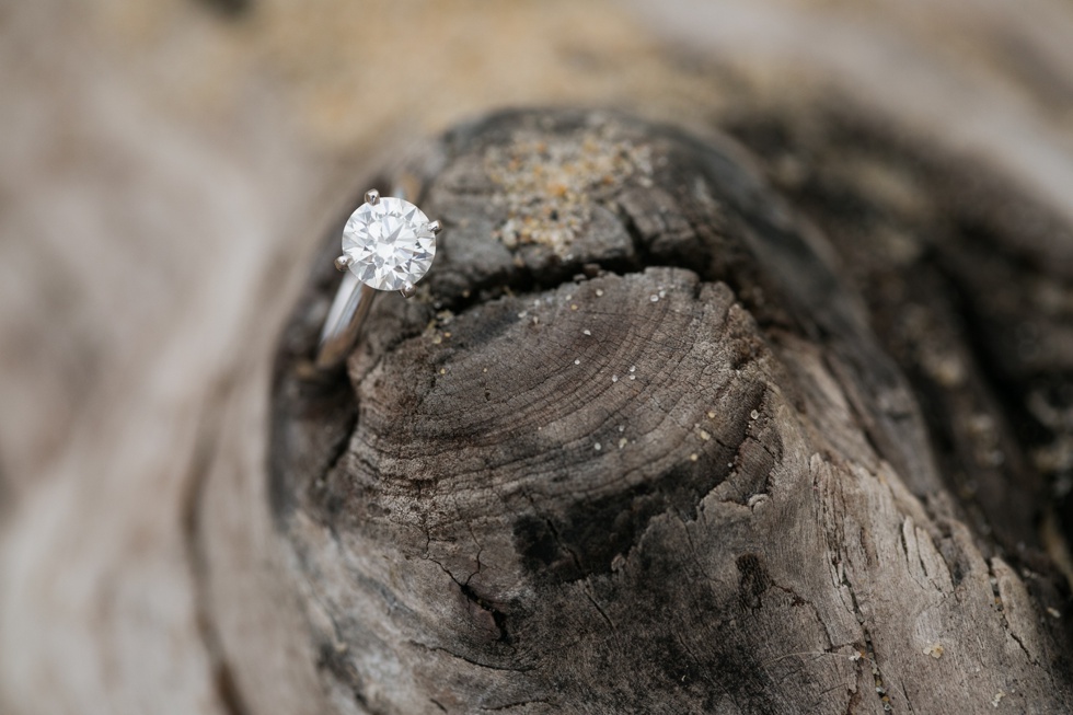 autumn eastern shore terrapin beach engagement session