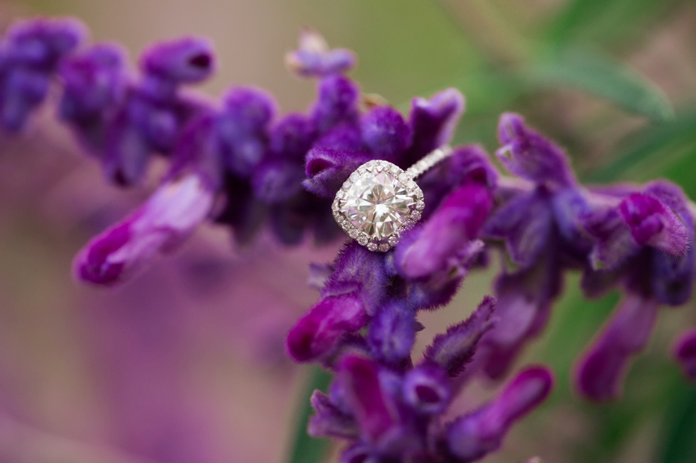 Fall Engagement session in Georgetown DC