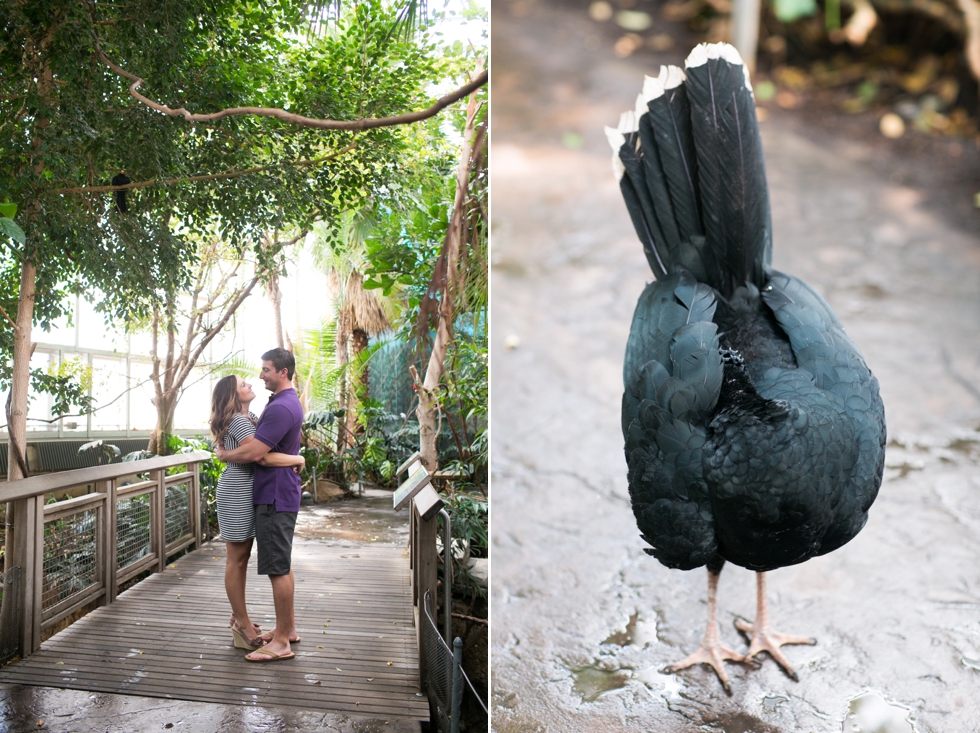 Philadelphia Zoo Engagement Photography