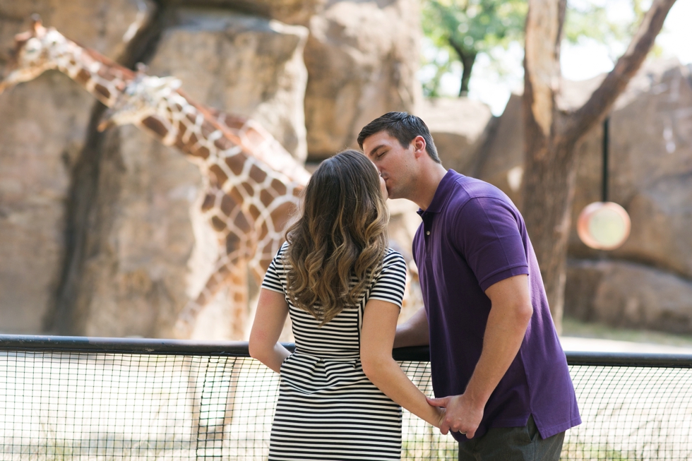 Philadelphia Zoo Anniversary Photographer - Giraffes