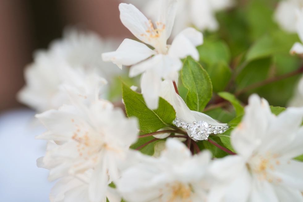 Annapolis State House Engagement Photos - Spring Blossom Engagement Ring