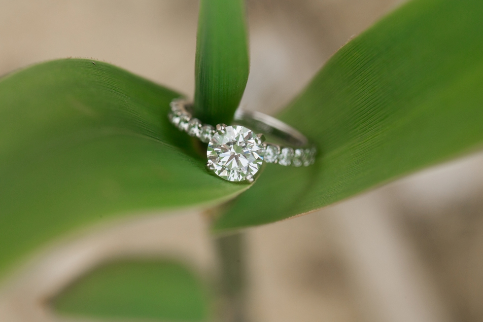 Destination Beach Engagement Ring Photographs