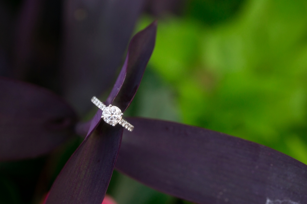 Fells Point Engagement - Philadelphia Wedding Photographer