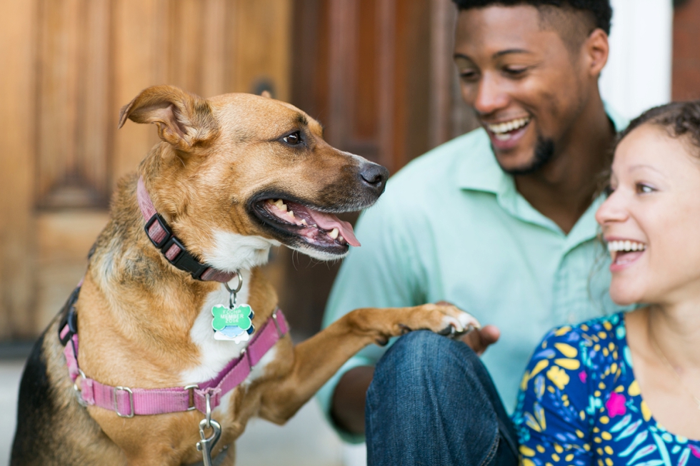 University of Pennsylvania puppy engagement - Center City Philadelphia Wedding Photographer