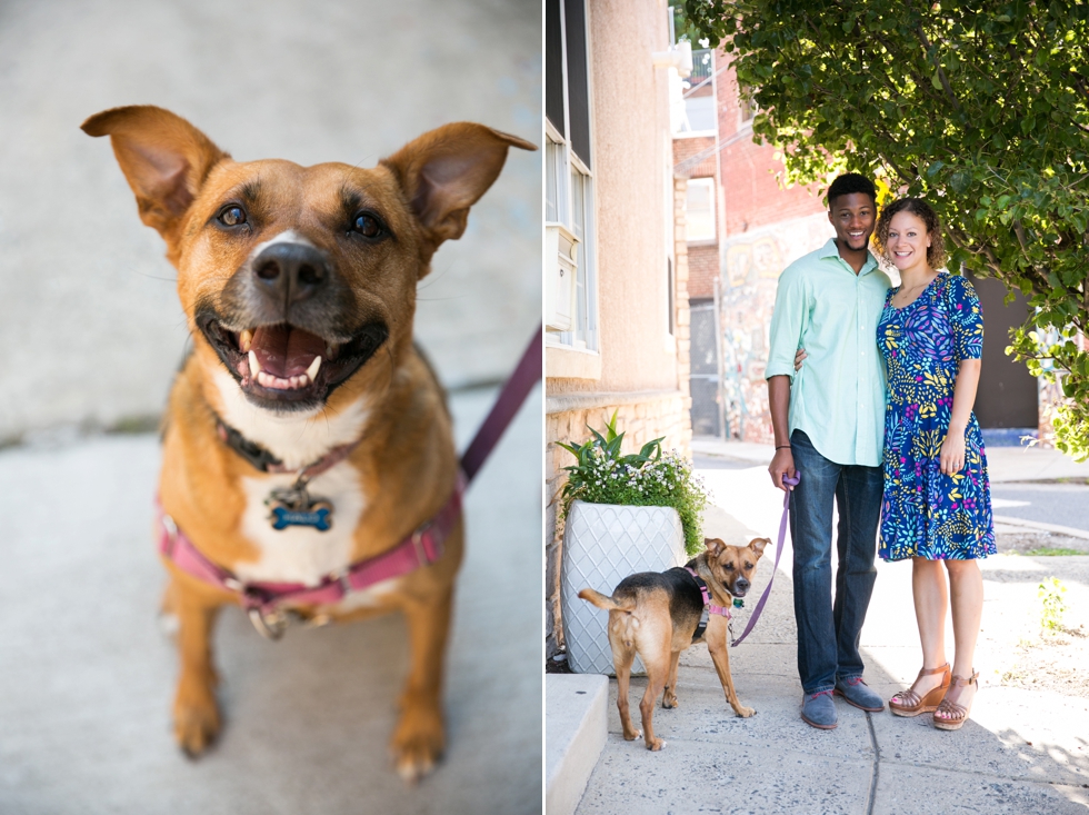 University of Pennsylvania puppy engagement - Center City Philadelphia Wedding Photographer