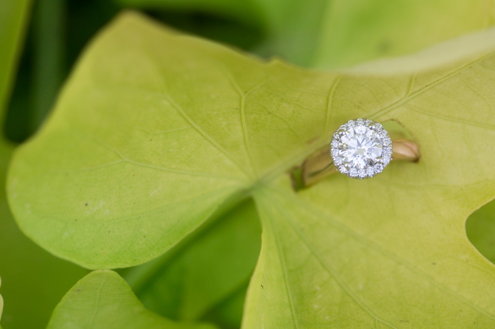 Maryland Engagement rings - Engagement Photos at City Dock Annapolis