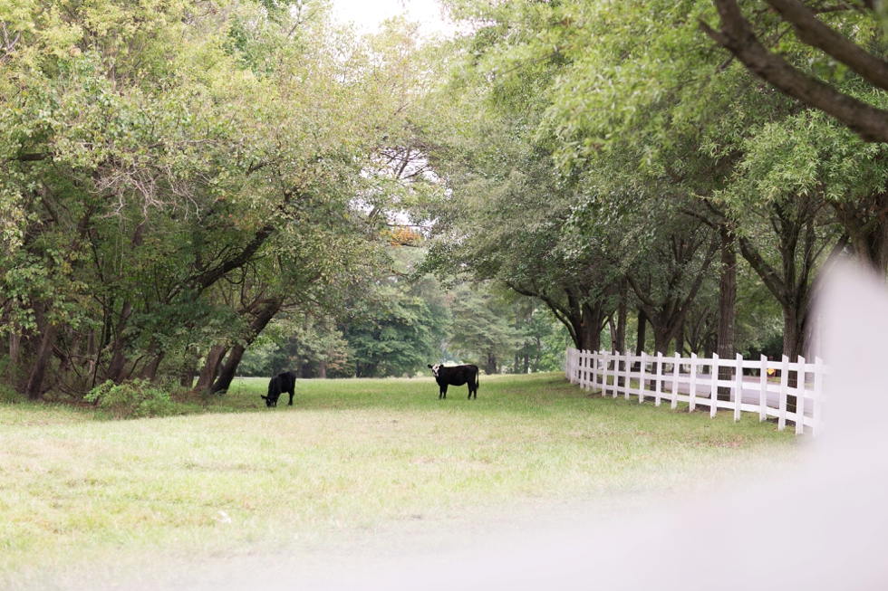 Wren Bridal - Timberlake Farm Wedding - Philly Farm Wedding Photography