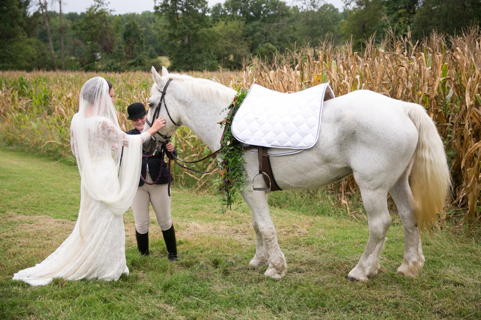 Surprise Horse - Philadelphia Farm Wedding Photography