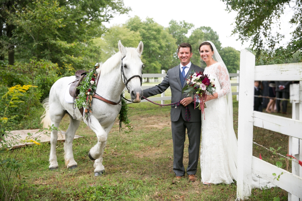 Timberlake Farm Wedding Photographer - Wedding Horse