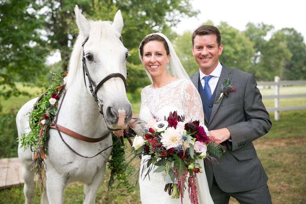 Timberlake Farm Wedding Photographer - Wedding Horse