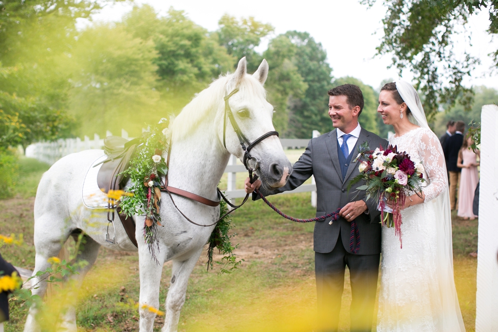 Timberlake Farm Wedding Photographer - Wedding Horse