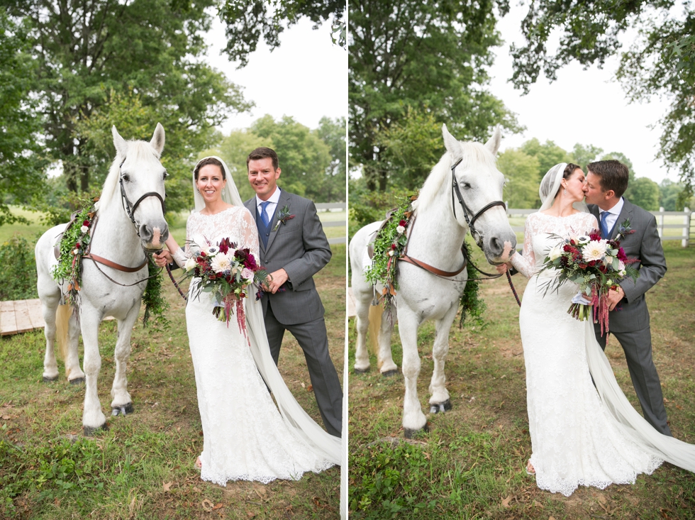 Timberlake Farm Wedding Photographer - Wedding Horse