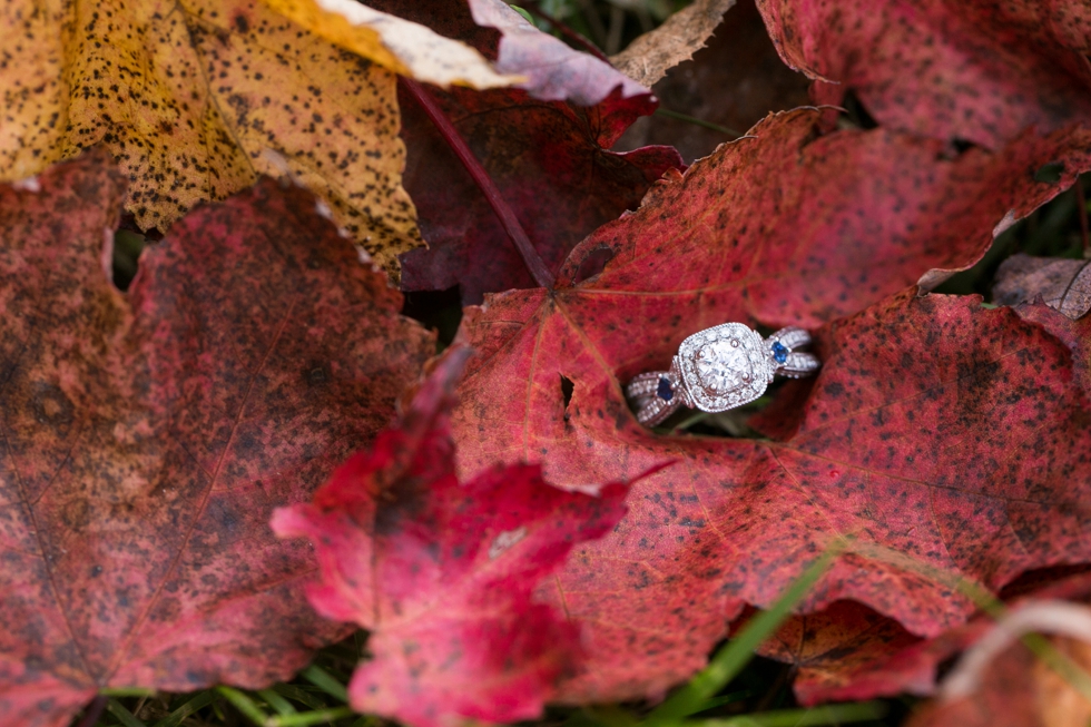 lake-centennial-park-engagement_116