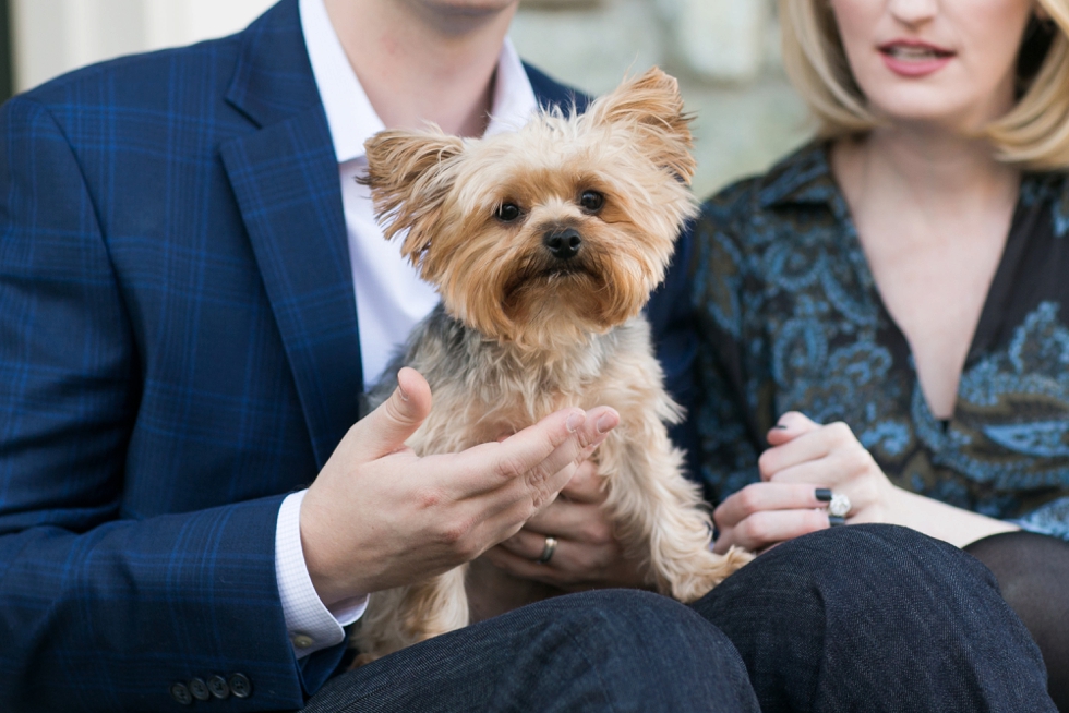 Annapolis Anniversary Photos with Yorkie 