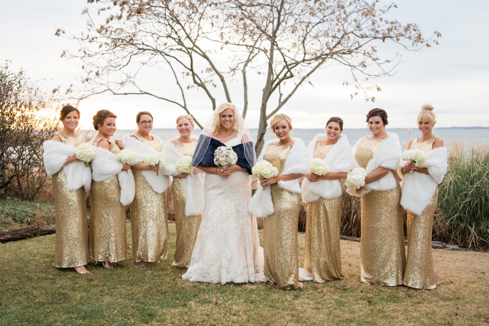 Eastern Shore Elegant Wedding Photography - Gold Sparkle