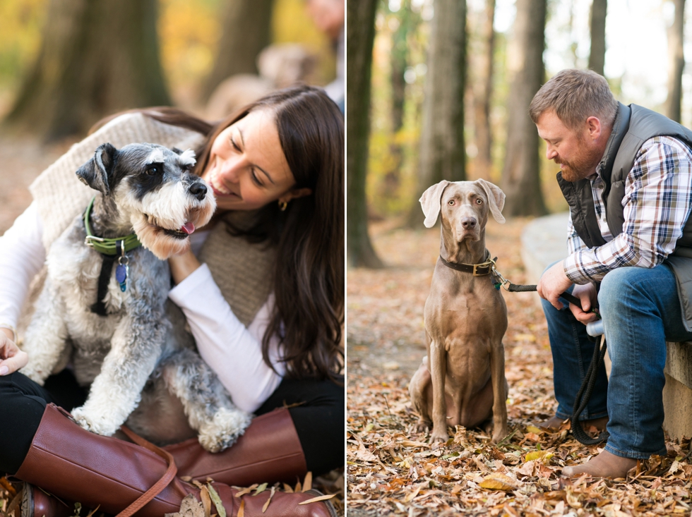 Engagement Photographs at Roosevelt Island Washington DC