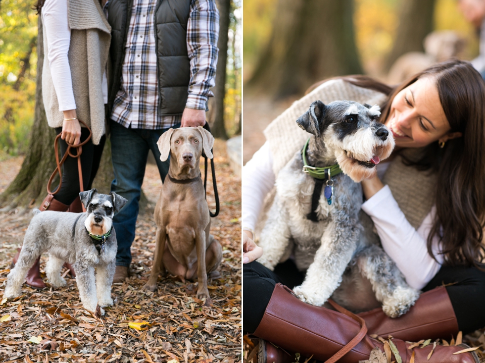 Roosevelt Island Dog Engagement - Traveling Philadelphia Engagement Photographers