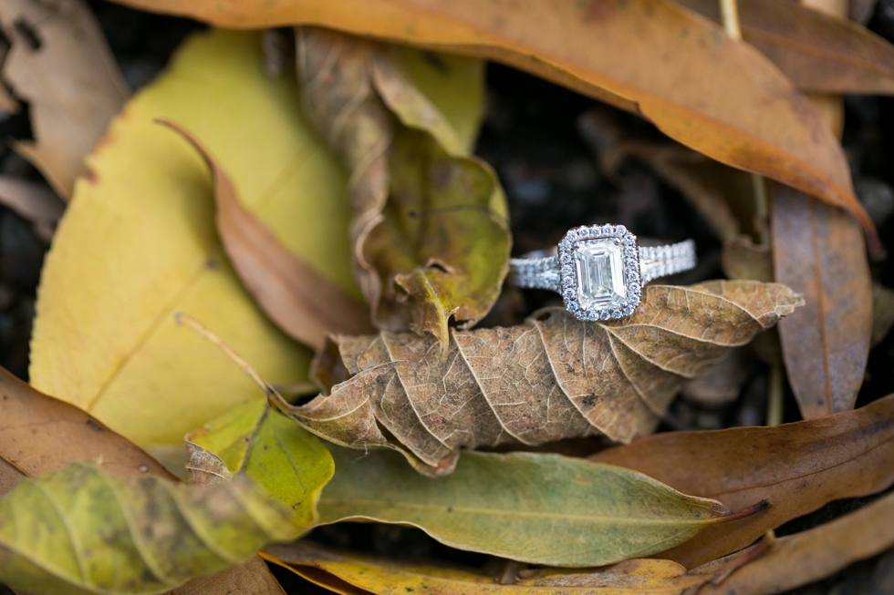 Roosevelt Island Engagement - Philadelphia Wedding Photographers