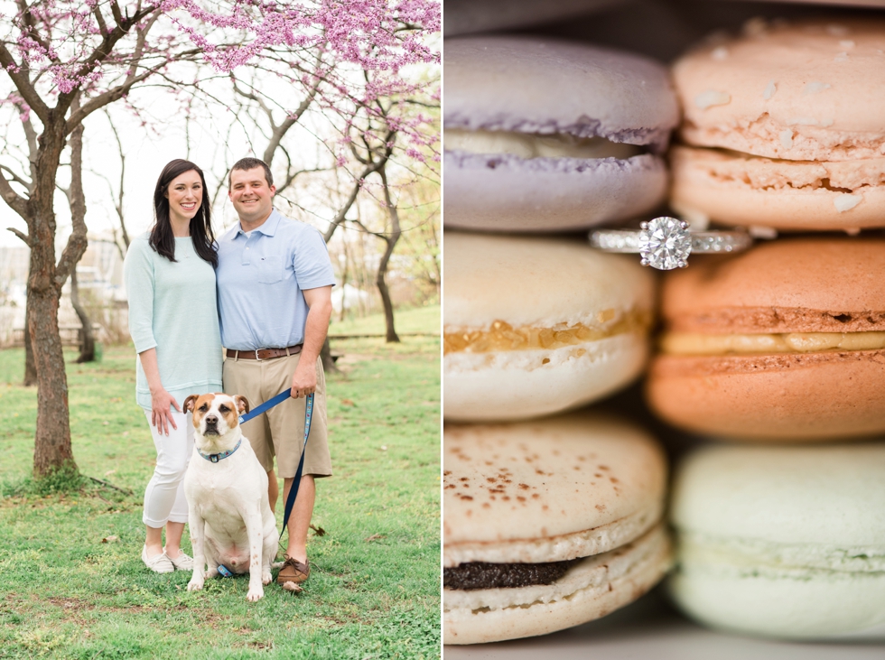 Annapolis Engagement Photographs - Macarons from Sweet Hearts Patisserie - Dog in engagement photos