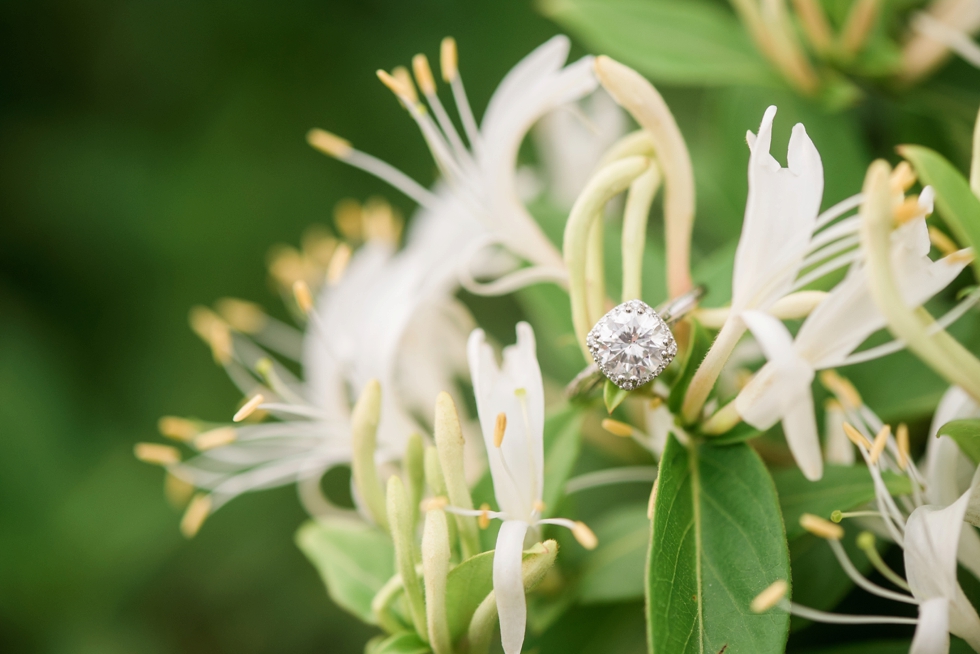 Elkridge Furnace inn engagement Photographer