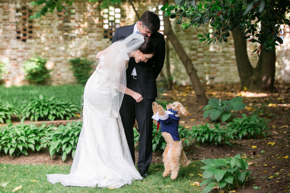 Tidewater Inn Wedding in Easton Maryland - First Look Poodle Puppy