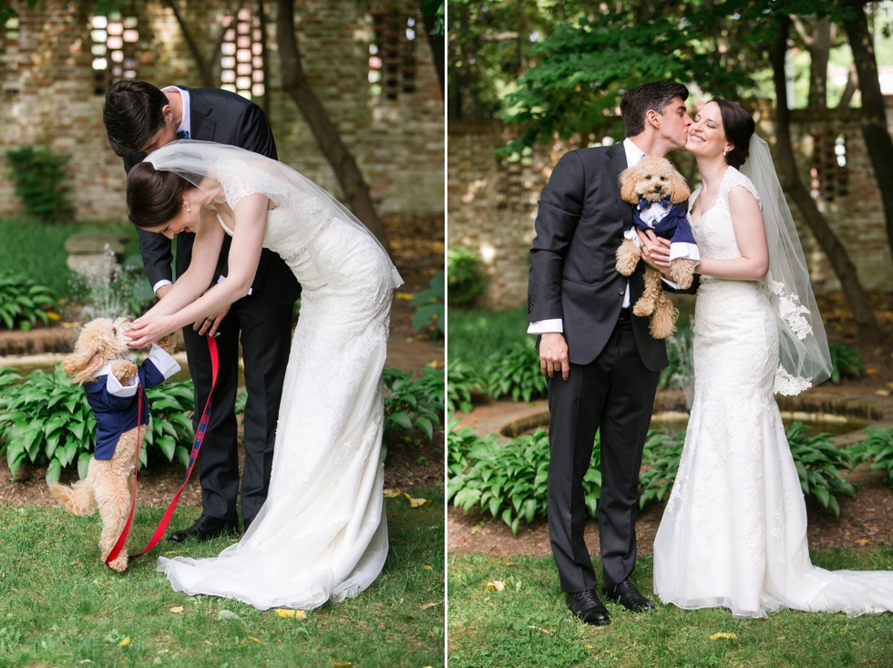 Tidewater Inn Wedding in Easton Maryland - First Look Poodle Puppy