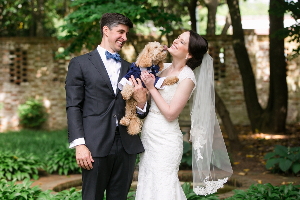 Tidewater Inn Wedding in Easton Maryland - First Look Poodle Puppy